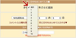 「同じ日付をまとめて入力する」をクリックし、何年ごとに追加するかをご指定