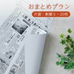 おまとめプラン（片面）