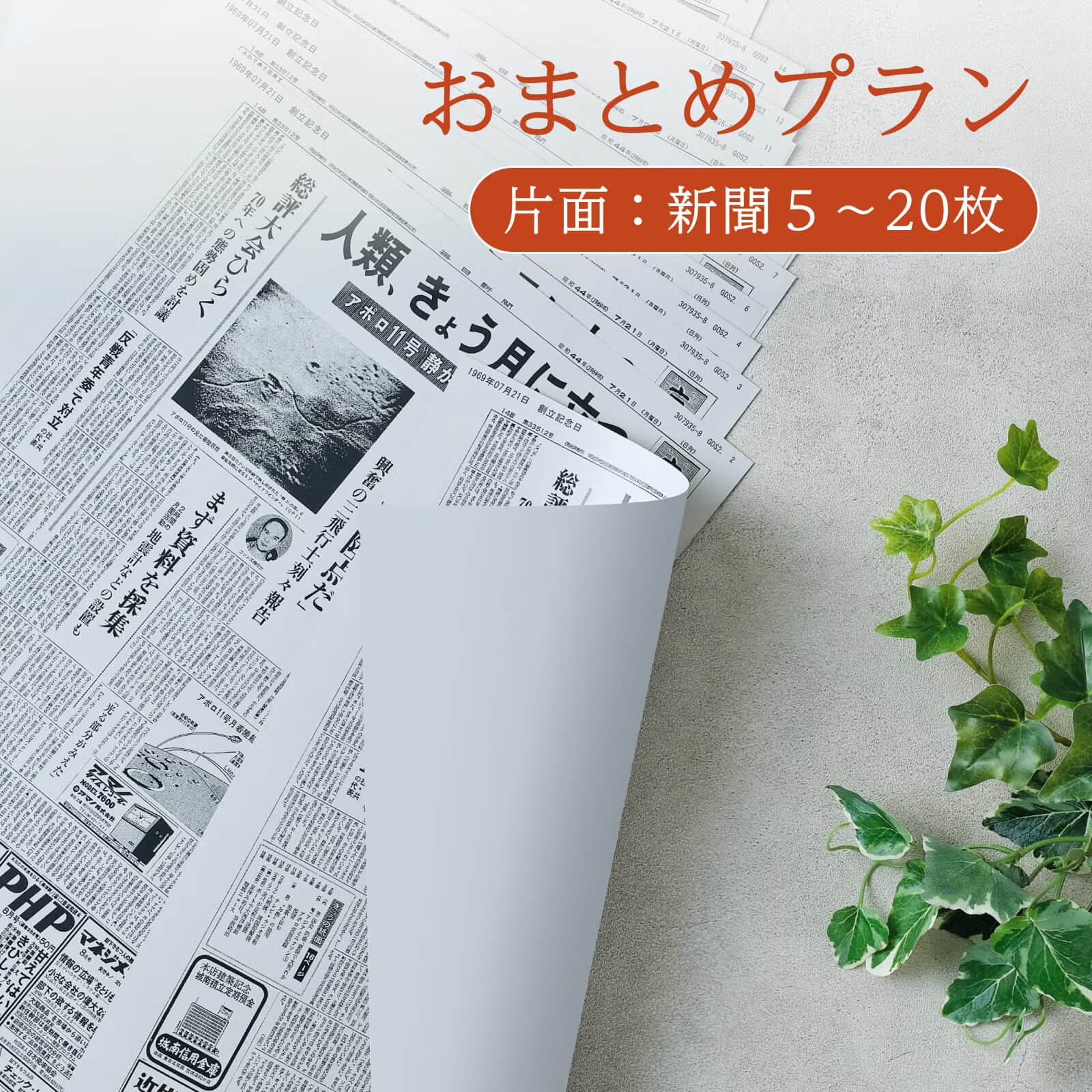 おまとめプラン（片面）のサムネイル