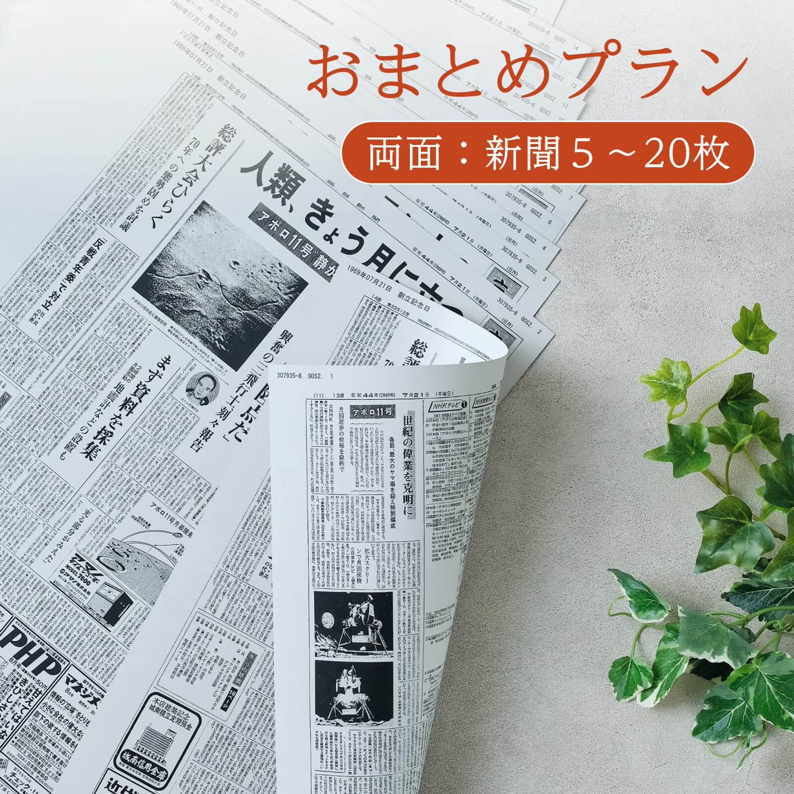 おまとめプラン（両面）のサムネイル